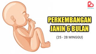 Perkembangan Janin yang Ideal Usia 6 Bulan