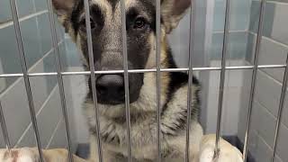 acs A656191