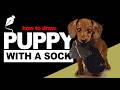 How To Draw a Cute Puppy Stealing a Sock | Adobe Illustrator Vector Illustration Tutorial