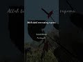DERAJAT PALING TINGGI DIMATA ALLAH...? || HABIB ALWI AS-SEGAF