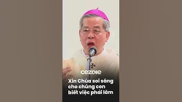 Xin Chúa soi sáng cho chúng con biết việc phải làm | ĐTGM Giuse Nguyễn Năng