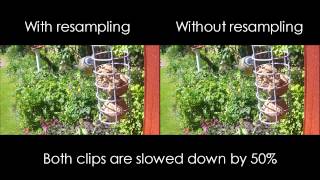 Sony Vegas resampling test for slow motion