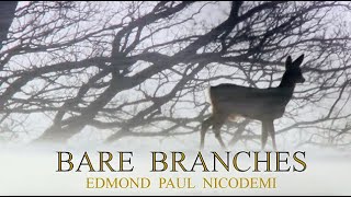 Relaxing Guitar Music. BARE BRANCHES by EDMOND PAUL NICODEMI