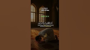 تلاوة من السماء بصوت القارئ محمد وجيه