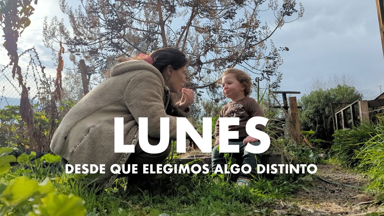 Un Lunes en nuestra Casahuerto. Compost, trasplantes, comidas y reflexiones.