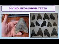 Megalodon Tooth Diving