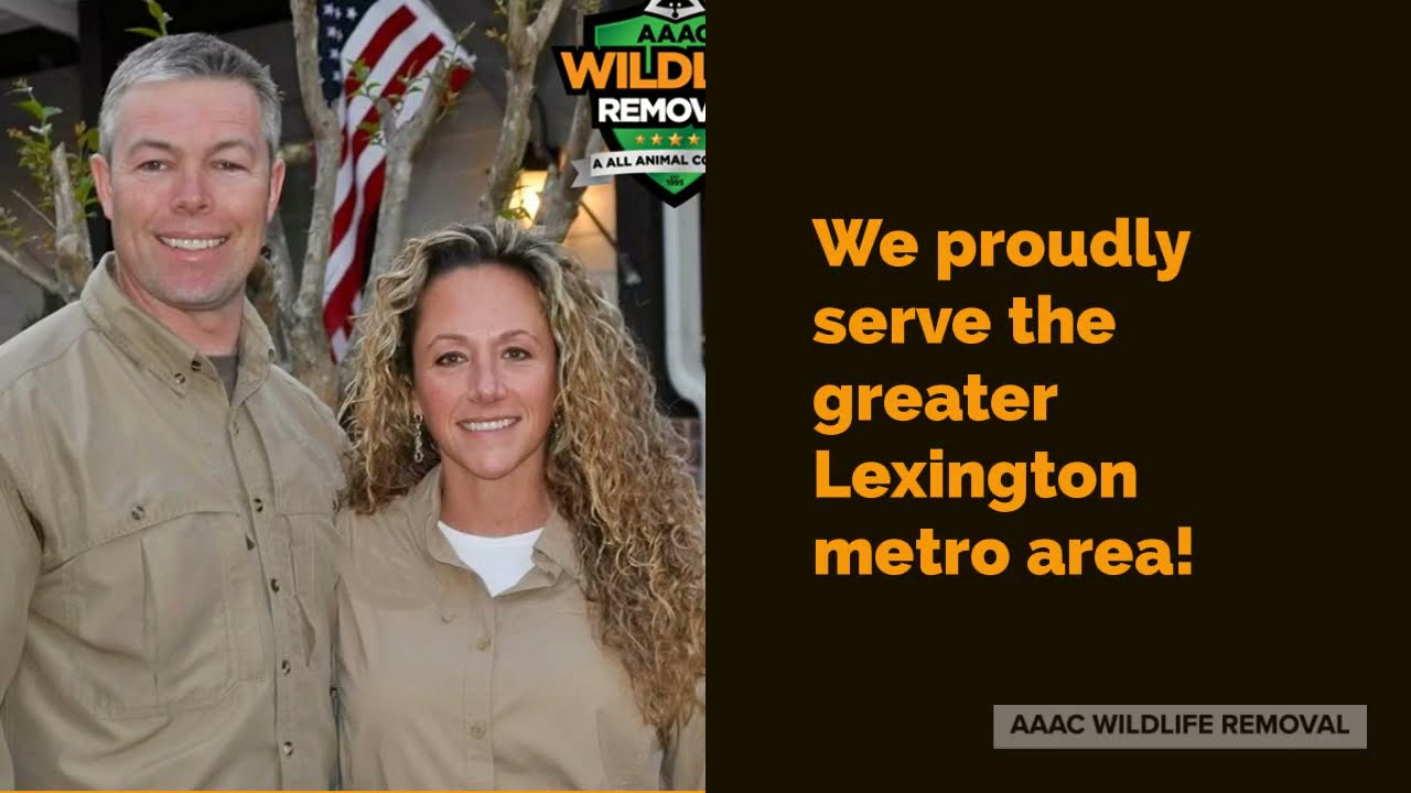 Skunk Removal Lexington | Lexington Kentucky | 859-695-6756