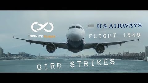 The Accident of US Airways 1549 (With VC)--- Infinite Flight Investigation