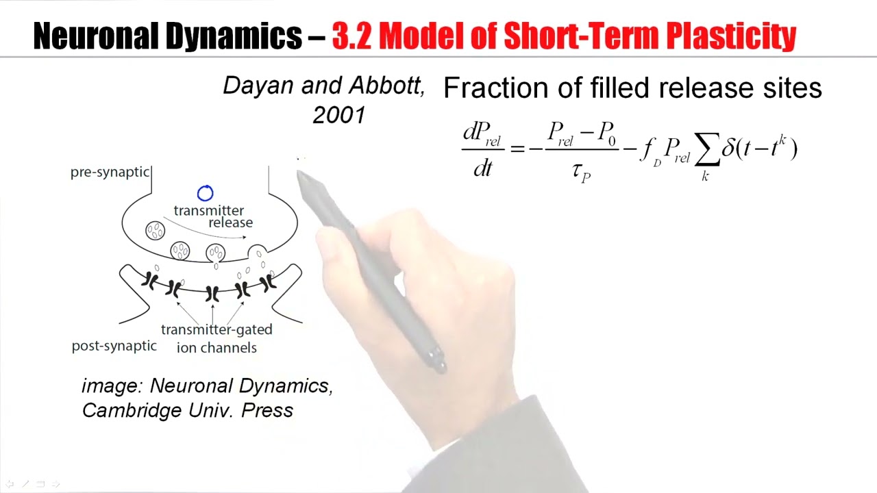 CNS3.2 - Synaptic Short Term Plasticity