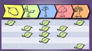 FREE PMP Project Management Training!  PROCESS GROUP INTERACTIONS