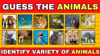 Guess the names of 40 Animals in 5 seconds🧠🐈 | From easy to impossible level #trending #quiz