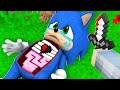 Sonic Potřebuje POMOCT v Minecraftu!