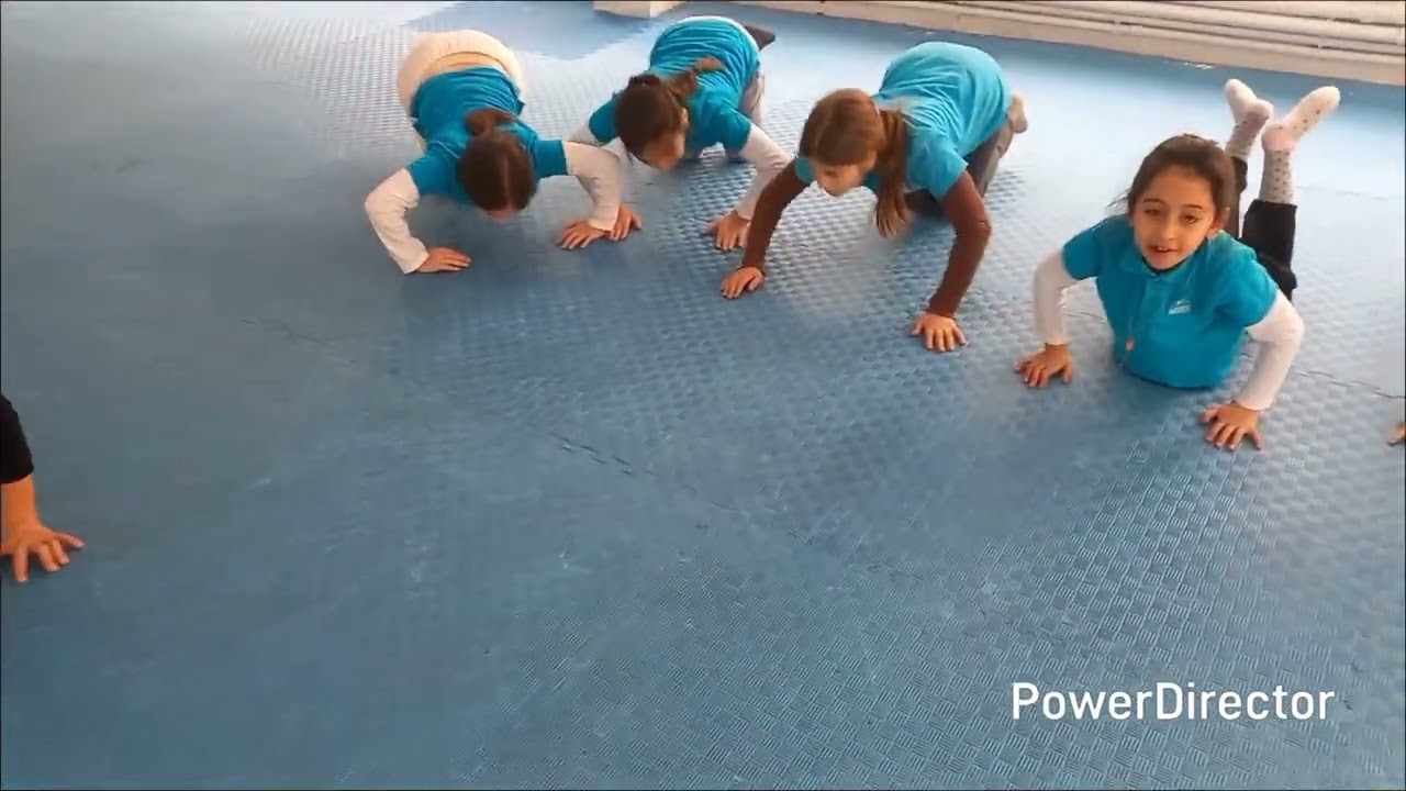 Մարզական ստուգատես 2026