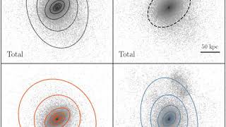Massive galaxies in TNG simulation