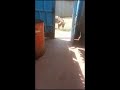 TRANSPORTATION OF WATER