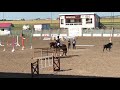 Working Equitation August 2019