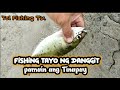 Danggit Fishing gamit lang ang Tinapay