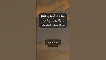 سورة الأنبياء الآية ٢٧ الى ٢٩ بصوت الشيخ محمد صديق المنشاوي
