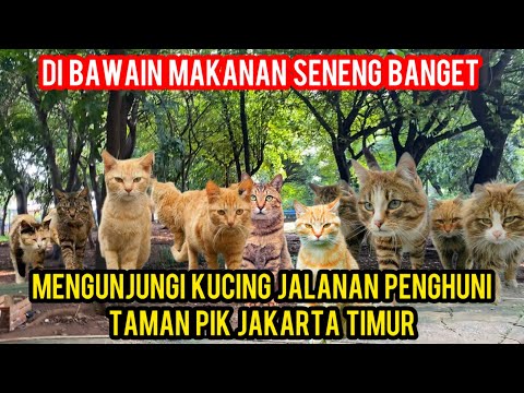 JENDERAL GAM ANCAM PRESIDEN PRABOWO!? TNI POLRI Bergerak Masuk Markas? Teror Aceh Merdeka Memanas