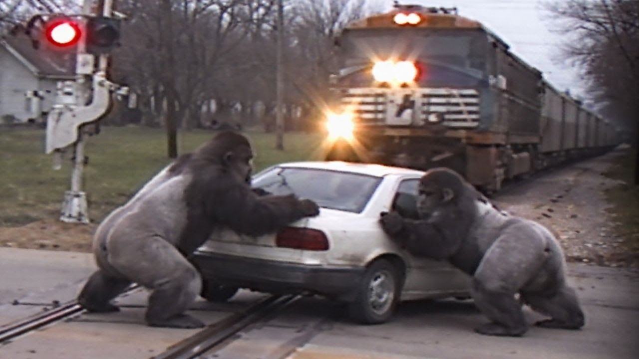 This Shouldn’t Exist on Tape | Found Footage EP10