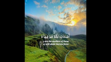 للذين أحسنوا الحسنى وزيادة 🍁 رعد محمد الكردي حالات واتس اب دينية قصيرة مؤثرة قرآن كريم تلاوة خاشعة