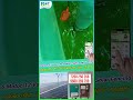 தோட்டத்தில் உள்ள எல்லாமே Solar-ல தான் இயங்குதா? இந்த ஒரு Device மூலம் எல்லாமே Control பண்ணலாமா?