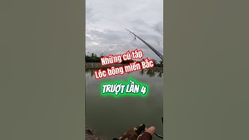 TỔNG HỢP NHỮNG CÚ TÁP CỦA CÁ LÓC BÔNG MIỀN BẮC | NGOCTNTbanleuytin #ngoctntbanleuytin #nhaihoiboica