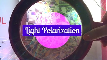 The Joys of Light Polarization!! || AP Physics 2