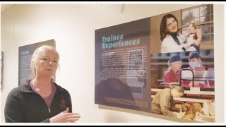 Celebrity Shelter Medicine at Cornell: Trainee Experience Wealth