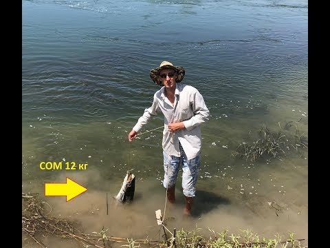 Река Или 2017 и рисовый канал