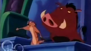 Funny Timon & Pumbaa