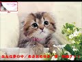 【みんな夢の中】あさみちゆき/唄:後藤ケイ♪