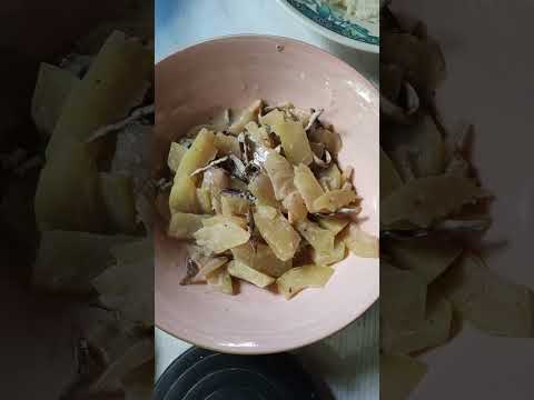 بابايا جيناتا طعام بابايا شورتات فيروسية شورتات