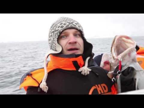 Видео: Фоторепортаж: угрожаемое рыболовство на Лофотенских островах, Норвегия - Matador Network