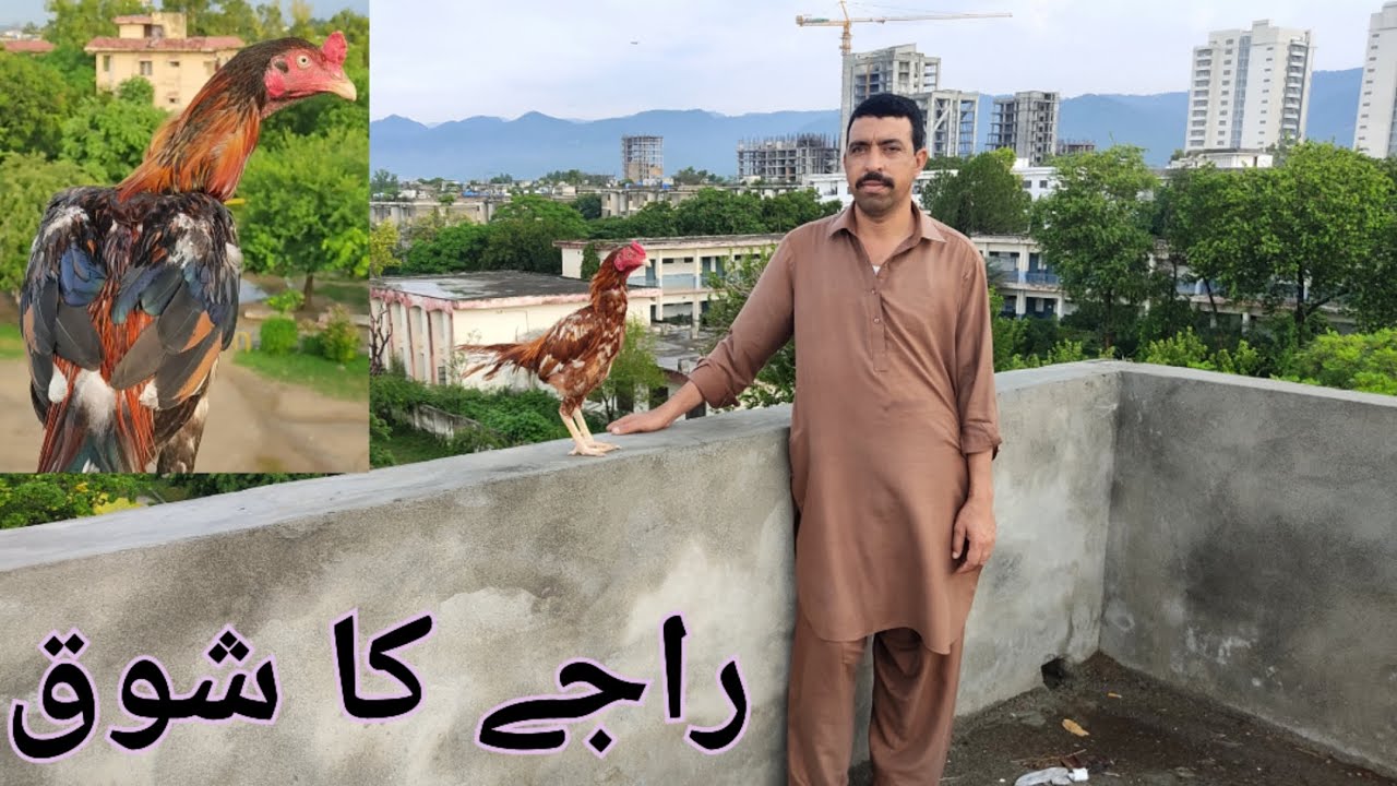Pakistan Raja Atif A Day With RAJA ATIF | Raja’s Setup - YouTube