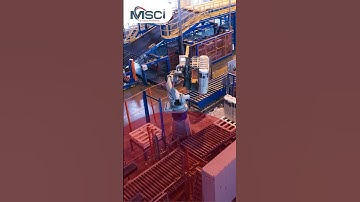 5 Reasons Why 1000+ Businesses Trust MSCi for ISO Certification in Africa