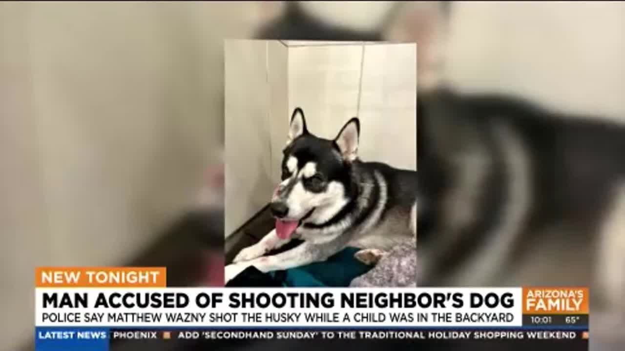 Phoenix man accused of shooting dog in the face - YouTube