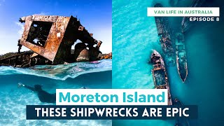 Snorkelling the TANGALOOMA WRECKS!!! Moreton Island, Queensland | VAN LIFE AUSTRALIA ROAD TRIP