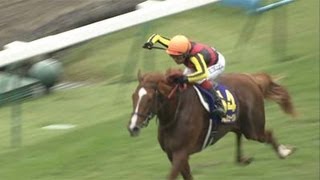 Orfevre Race Compilation 【Fuji TV Official】