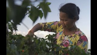 Nepal Livelihoods Programme