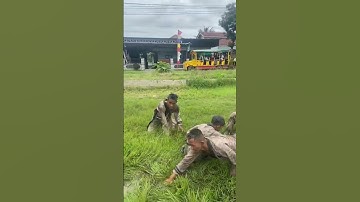 Tes Calon Sabuk Kuning Ikspi Kera Sakti #paskersakeramadura #ikspimadura