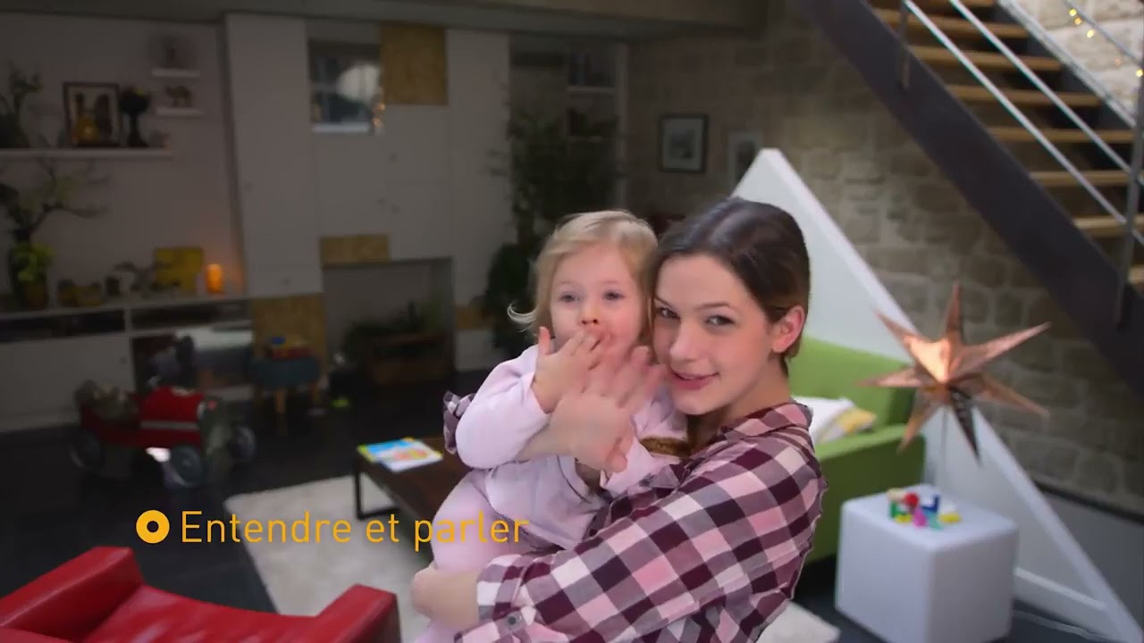 Somfy La sécurité tout en un - 2017
