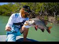 Catching Mangrove Jack and Threadfin Salmon on Lures in Mackay, QLD