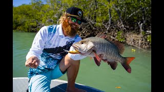 Catching Mangrove Jack and Threadfin on Lures in one of Mackay’s Mangrove Lined Creeks
