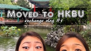 First Days Of My Exchange To Hkbu Exchange Vlog