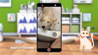 ☀️С добрым утром, малыши! Гигиена для питомцев - Только посмотри