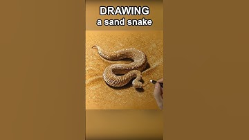Snake #drawing  Song by @theshtooks3 - "Where are my manner?"