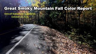 Fall Color Report Great Smoky Mountains National Park 2026