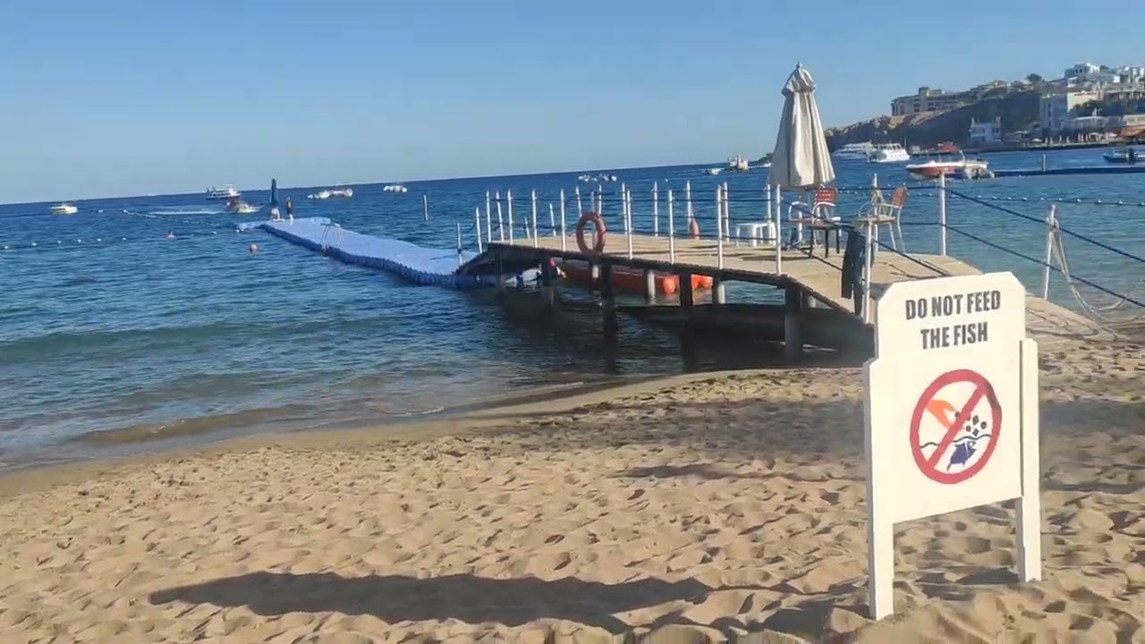 Шарм Эль шейх ПОГОДА 2 марта Налог для 60+ #море #египет26