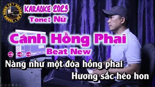 Cánh Hồng Phai Karaoke Tone Nữ Beat Acoustic Karaoke Thanh Hưng 79